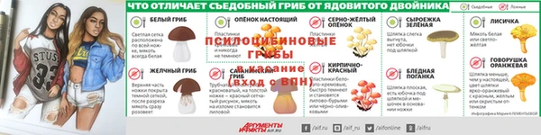 шишки Богданович