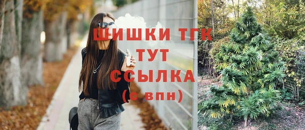 СК Протвино