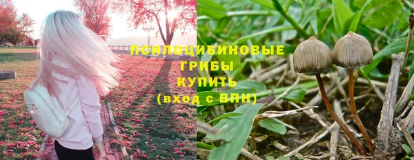 бутират Белокуриха