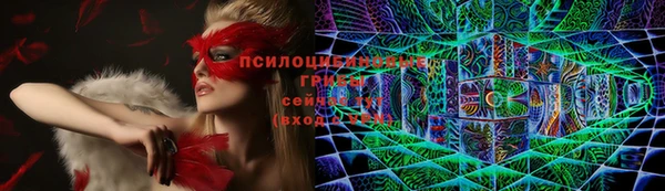 мдма Богородицк