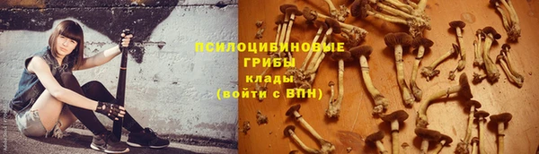 ALPHA PVP Бронницы